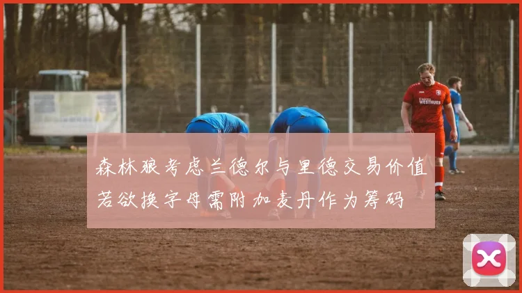 森林狼考虑兰德尔与里德交易价值若欲换字母需附加麦丹作为筹码