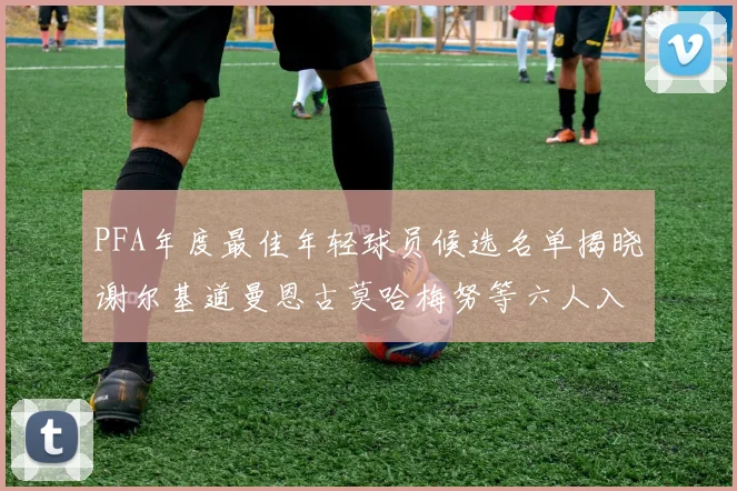 PFA年度最佳年轻球员候选名单揭晓谢尔基道曼恩古莫哈梅努等六人入围